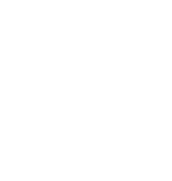 Bugnix